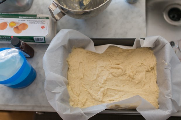 Busy Day Cake - www.themotherboards.ca