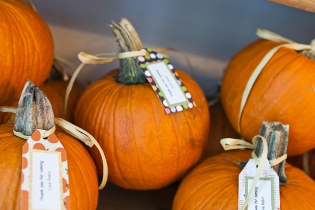 Fall Birthday Party-3042