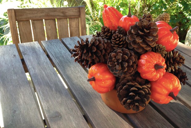 motherboards thanksgiving center piece main