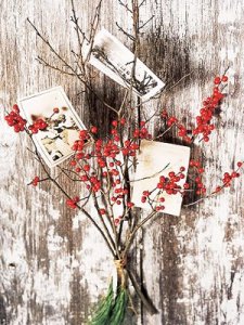 Christmas branch card holder