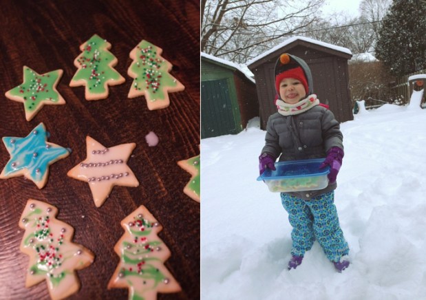 The Motherboards Icing for Cookies_0004