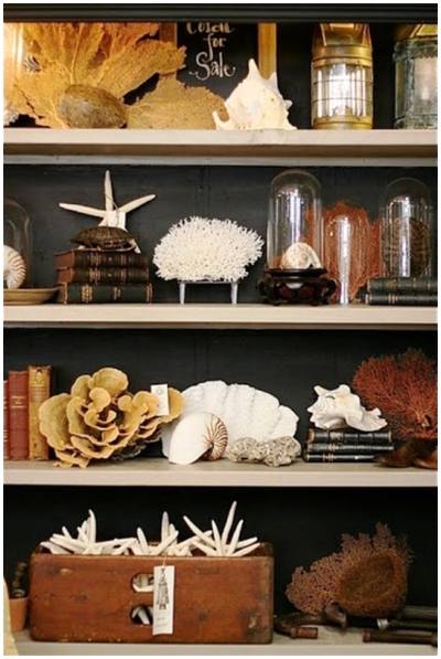 The Motherboards_Shelfdisplay_0014