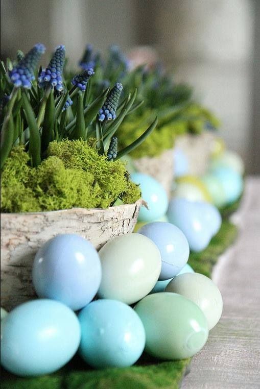 7b55fa7f31f4a2e6c41325c6fe660d7a