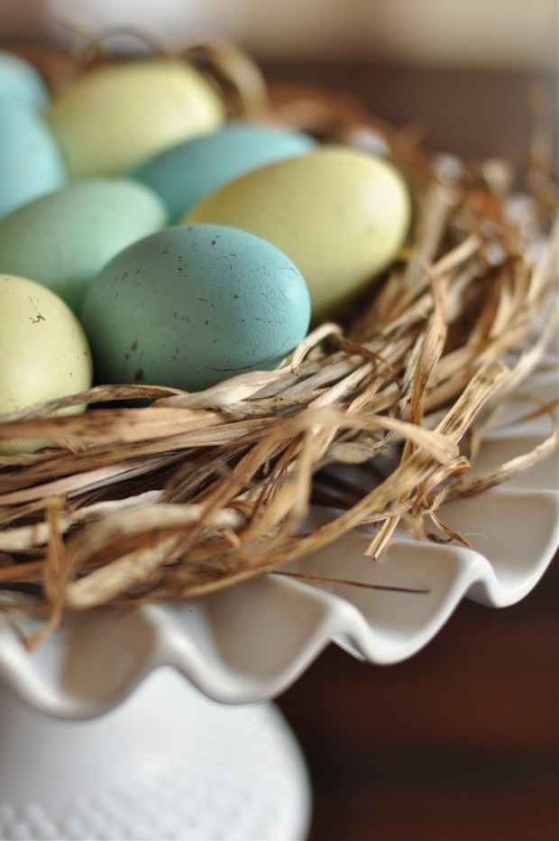 c4f543008dc13fa2f26e515e1237c33f