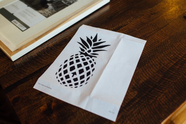 DIY Pineapple Art | The Motherboards-1