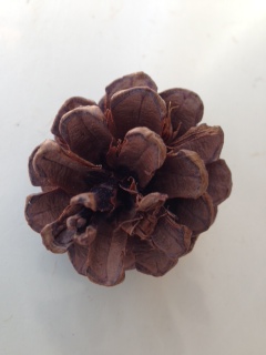 motherboards napkinring4b