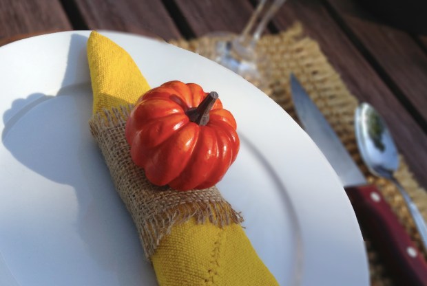 motherboards-napkinringmain