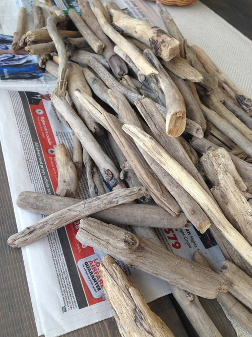 driftwood birdnest 1