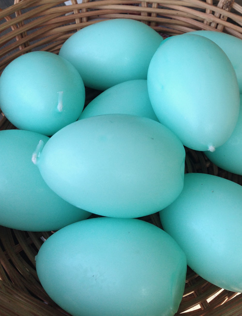 driftwood birdnest 3