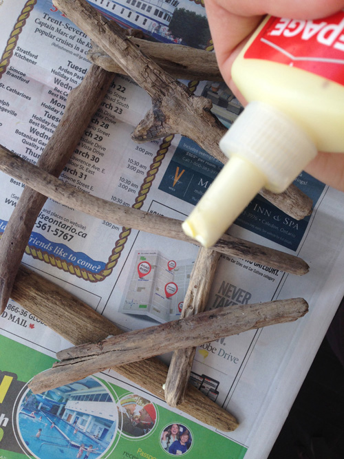 driftwood birdnest 4